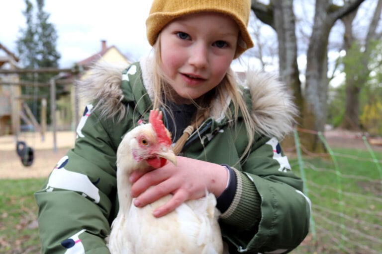 Blondes Mädchen mit weißem Huhn im Arm.